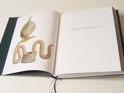 A publication of my paintings was published.  Texts and hundreds of high quality reproductions on 340 pages.  Published by SVU Mánes. Book price 80,-Eur + porto.